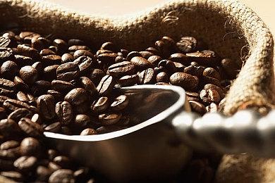 《Riddlewood Manor》Steam页面 支持简体中文